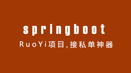 springboot的RuoYi项目，接私活专用